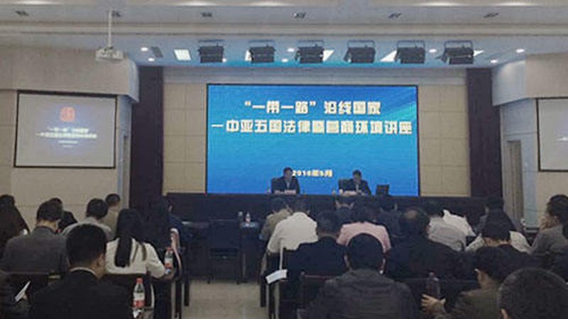 管理咨询代理：解码高效决策的幕后推手**